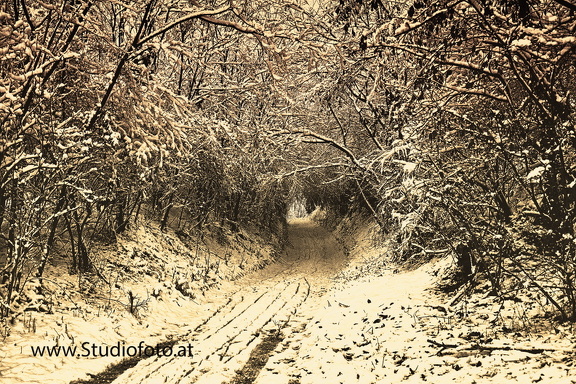 Winter1